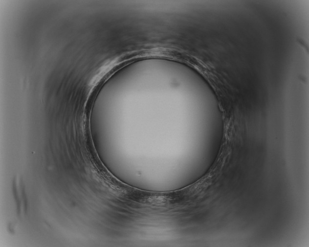 X0000100860152200807111302