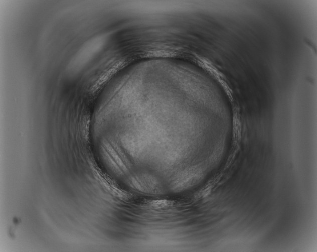 X0000100860153200807111302