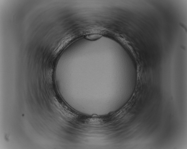 X0000100860154200807111302