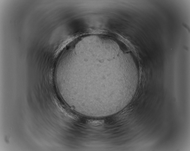 X0000100860155200807111302