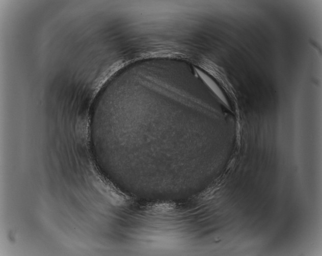 X0000100860156200807111302