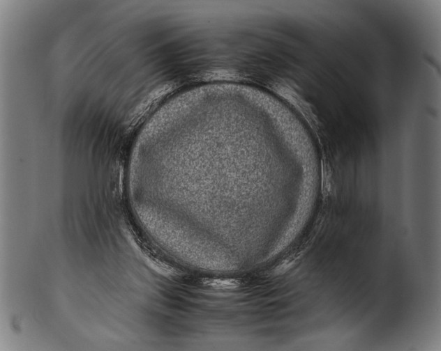 X0000100860157200807111302