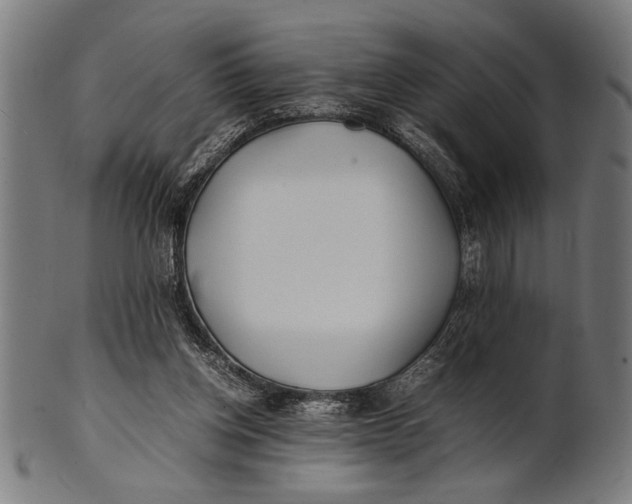 X0000100860158200807111302