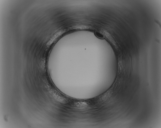 X0000100860159200807111302