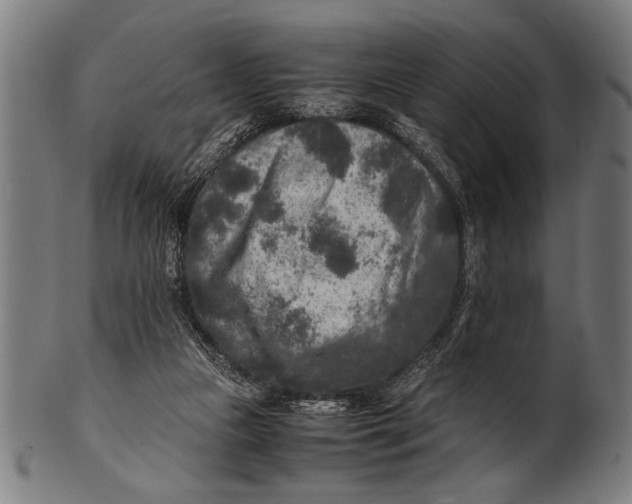 X0000100860161200807111302