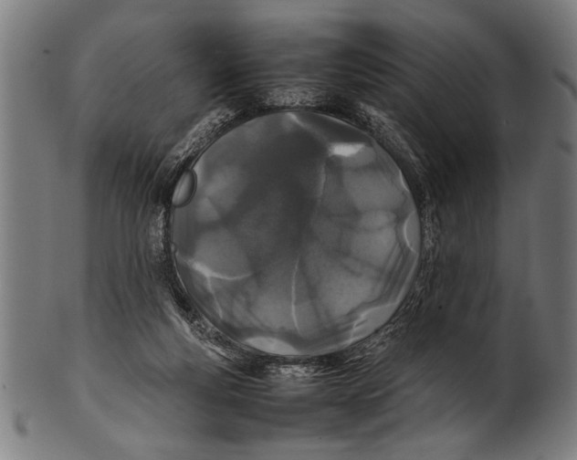 X0000100860163200807111302