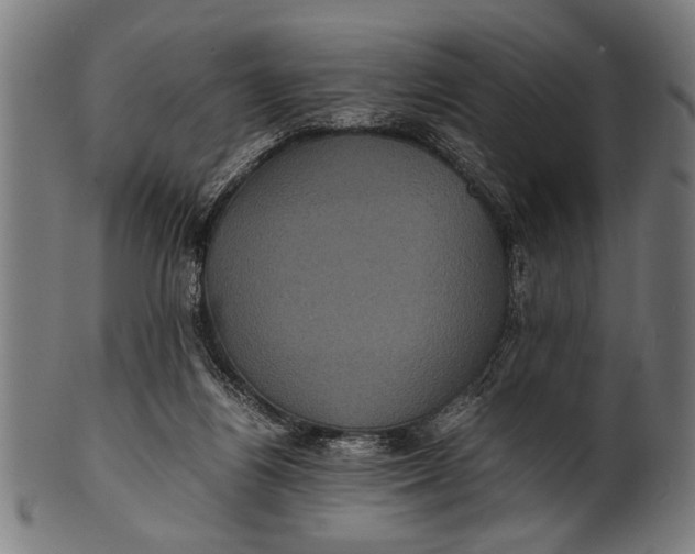 X0000100860164200807111302