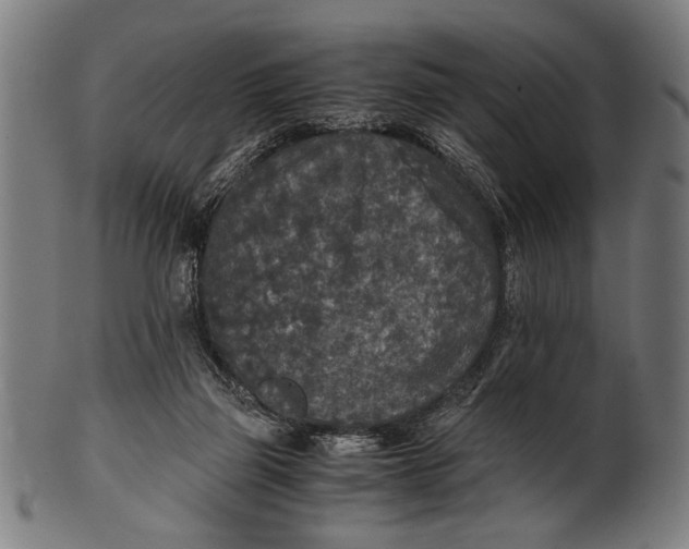 X0000100860165200807111302