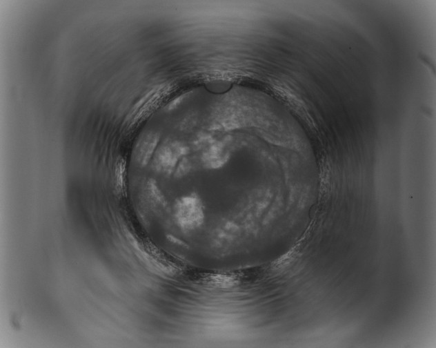 X0000100860166200807111302