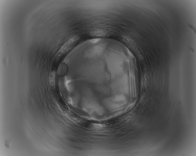 X0000100860167200807111302