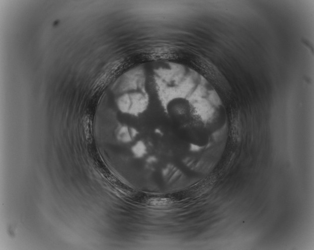 X0000100860169200807111302