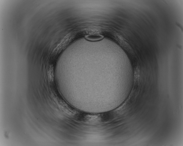 X0000100860170200807111302