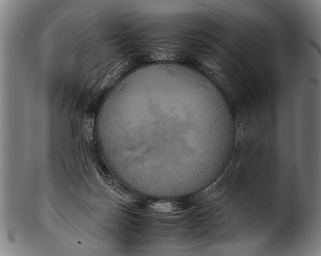 X0000100860171200807111302