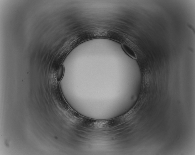 X0000100860172200807111302