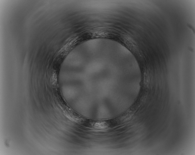 X0000100860173200807111302