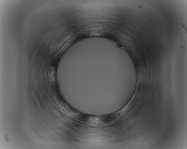 X0000100860174200807111302