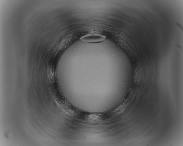 X0000100860176200807111302