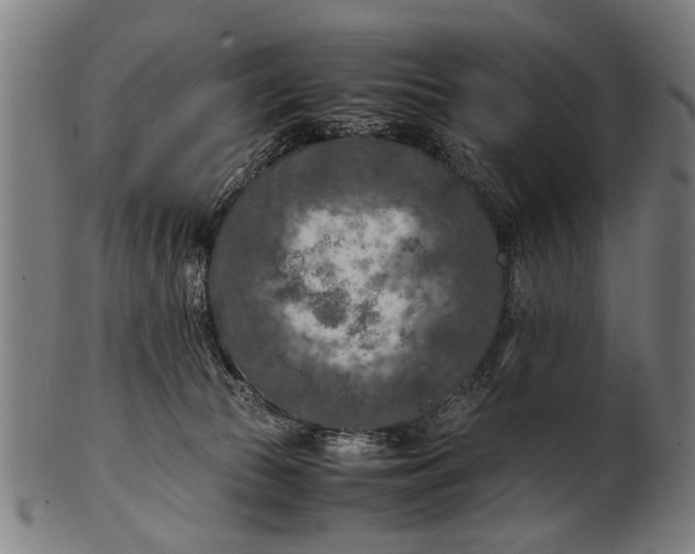 X0000100860177200807111302