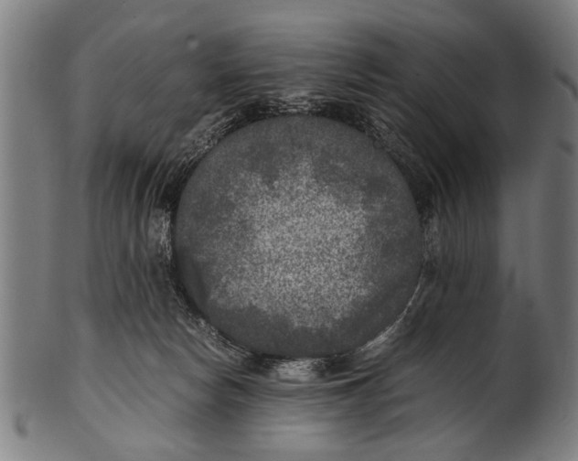 X0000100860178200807111302