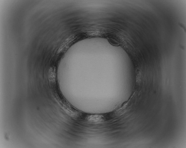 X0000100860179200807111302