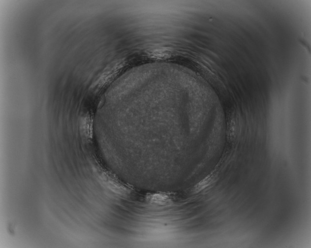 X0000100860180200807111302