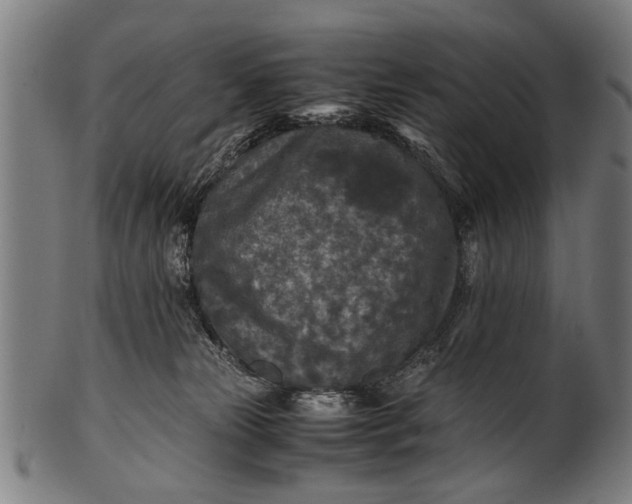 X0000100860181200807111302