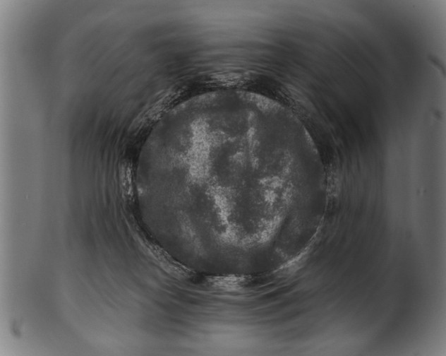 X0000100860182200807111302