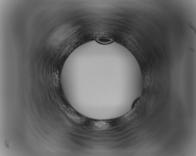 X0000100860183200807111302