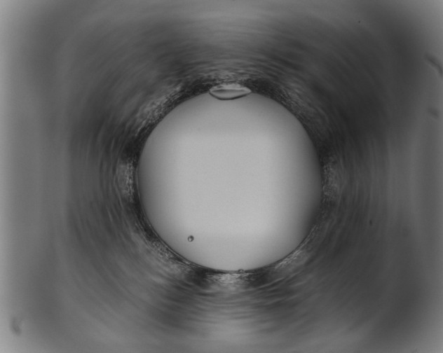 X0000100860184200807111302