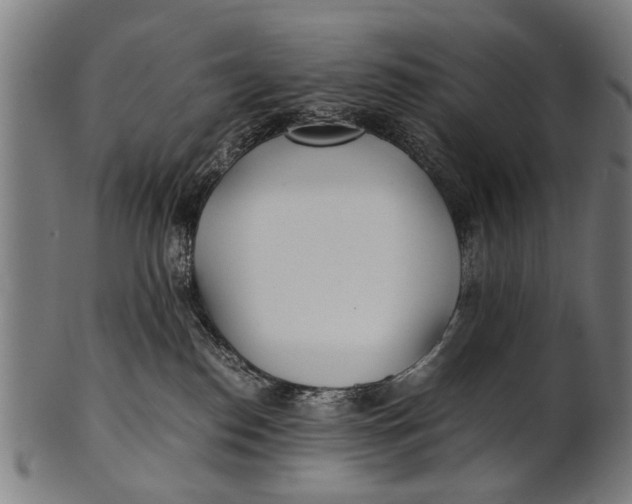 X0000100860186200807111302