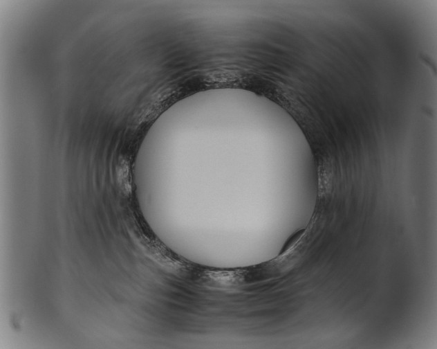 X0000100860187200807111302