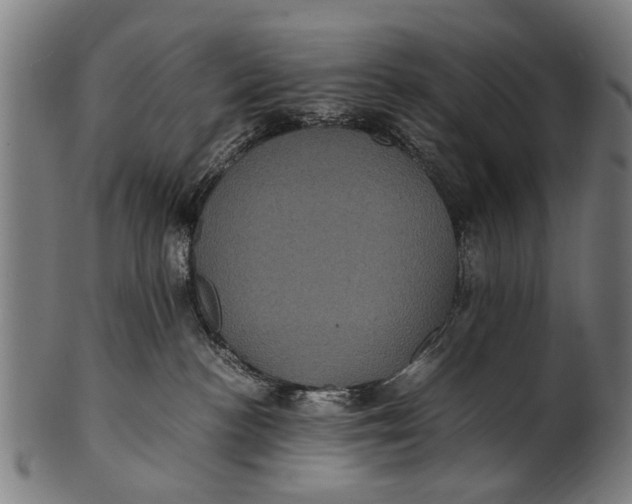 X0000100860188200807111302