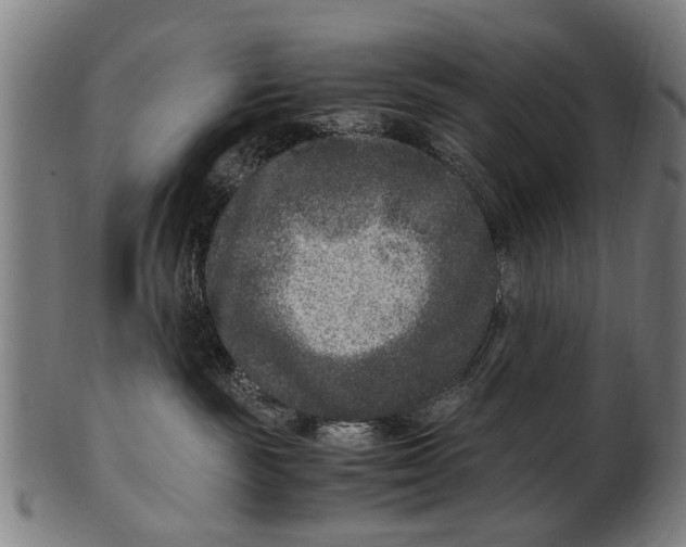 X0000100860189200807111302