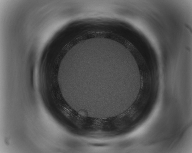 X0000100860190200807111302