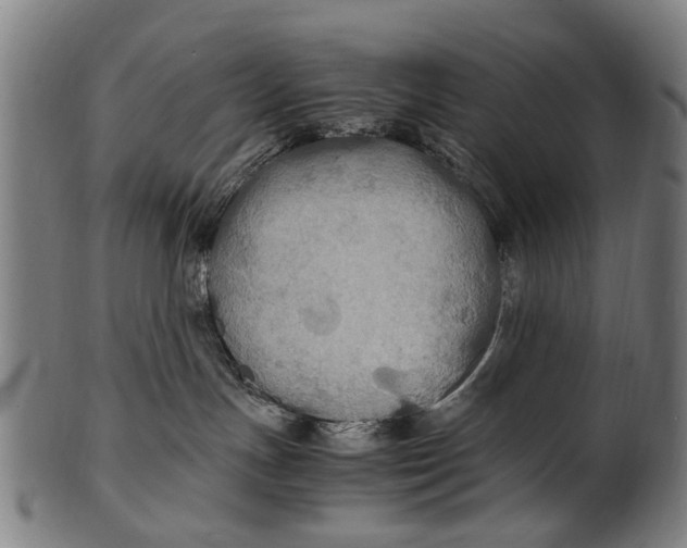 X0000100860191200807111302