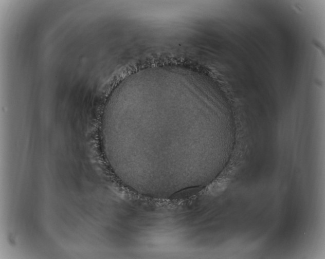 X0000100860192200807111302