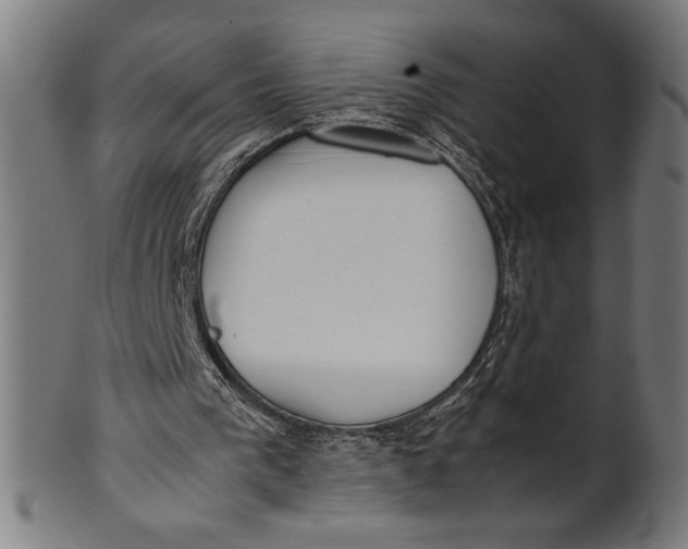 X0000100860193200807111302