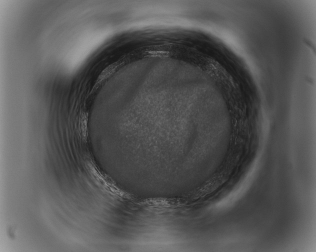 X0000100860194200807111301