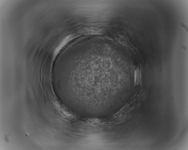 X0000100860195200807111301