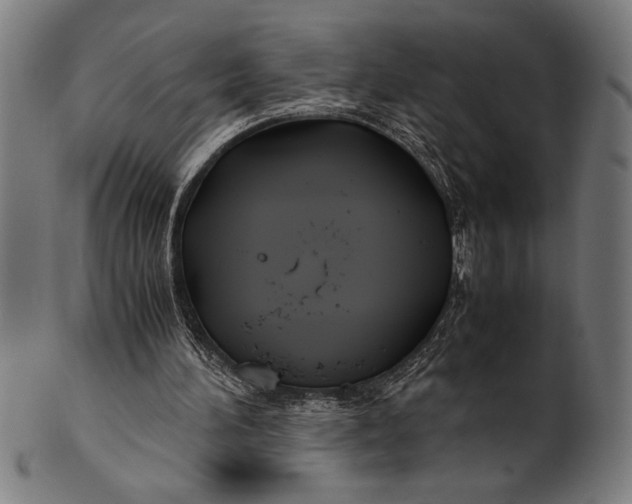 X0000100860196200807111301