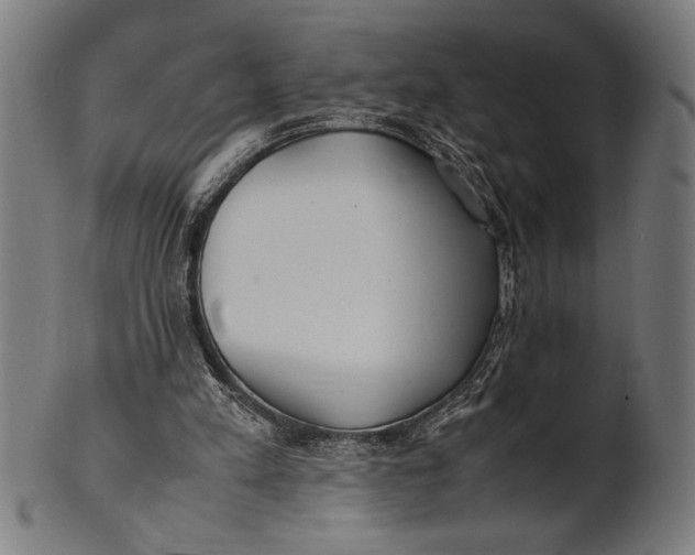 X0000100860197200807111301