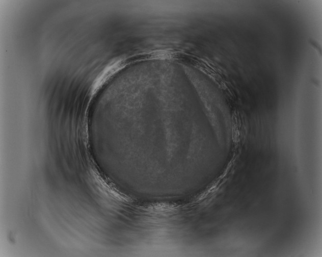 X0000100860198200807111301