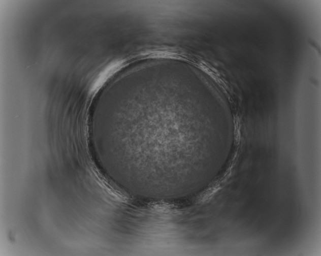 X0000100860199200807111301