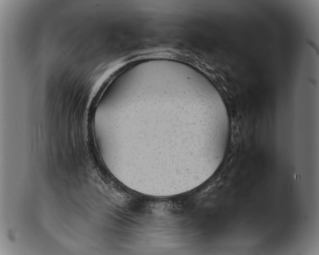 X0000100860200200807111301