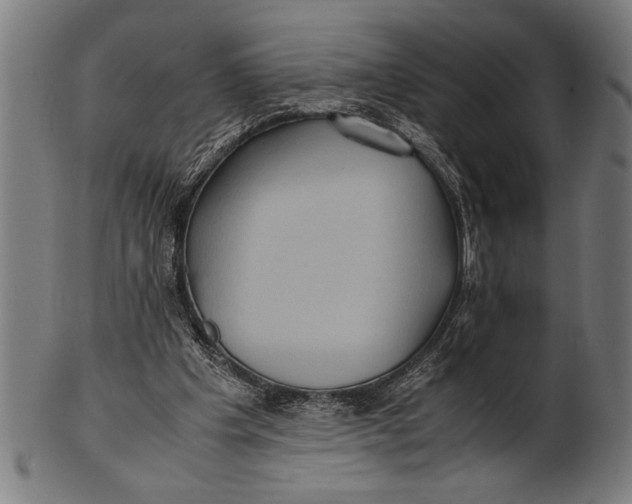 X0000100860201200807111301