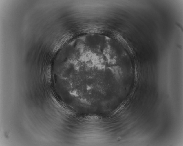 X0000100860202200807111301