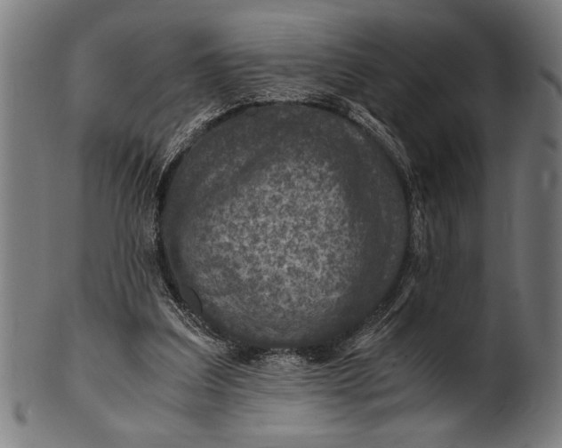 X0000100860203200807111301