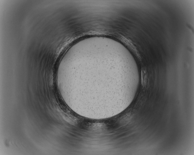 X0000100860204200807111301