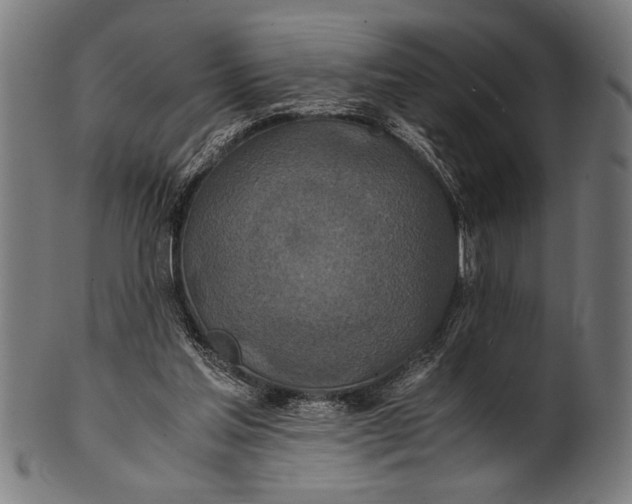 X0000100860205200807111301