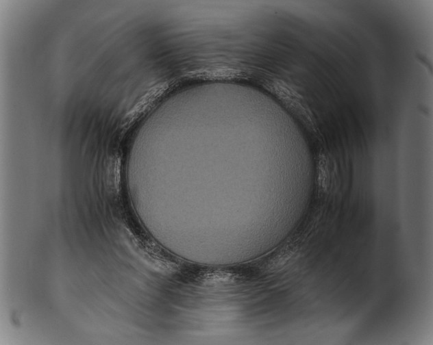 X0000100860206200807111301